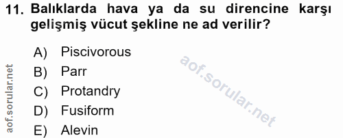 11. soru: Balıklarda hava ya da su direncine karşı gelişmiş vücut şekline ne ad verilir? A) Piscivorous B) Parr C) Protandry D)…
