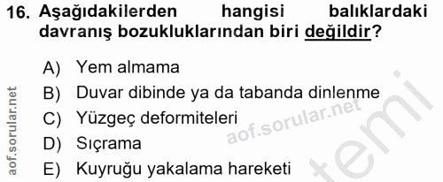16. soru: Aşağıdakilerden hangisi balıklardaki davranış bozukluklarından biri değildir? A) Yem almama B) Duvar dibinde ya da ta…