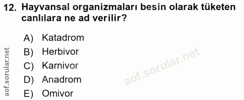 12. soru: Hayvansal organizmaları besin olarak tüketen canlilara ne ad verilir? A) Katadrom B) Herbivor C) Karnivor D) Anadrom…
