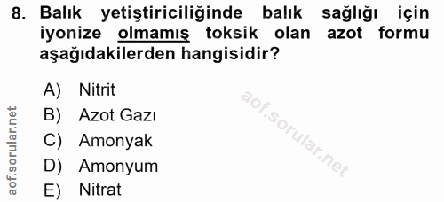 8. soru: Balık yetiştiriciliğinde balık sağlığı için iyonize olmamış toksik olan azot formu aşağıdakilerden hangisidir? A) Nit…