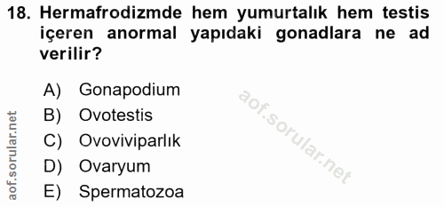 18. soru: Hermafrodizmde hem yumurtalık hem testis içeren anormal yapıdaki gonadlara ne ad verilir? A) Gonapodium B) Ovotestis…