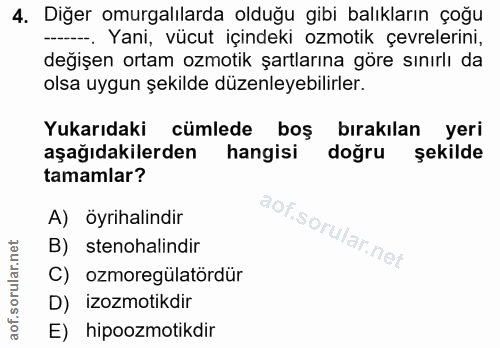 4. soru: Diğer omurgalılarda olduğu gibi balıkların çoğu -. Yani, vücut içindeki ozmotik çevrelerini, değişen ortam ozmotik şa…
