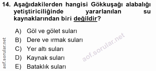 14. soru: Aşağıdakilerden hangisi Gökkuşağı alabalığı yetiştiriciliğinde yararlanılan su kaynaklarından biri değildir? A) Göl v…
