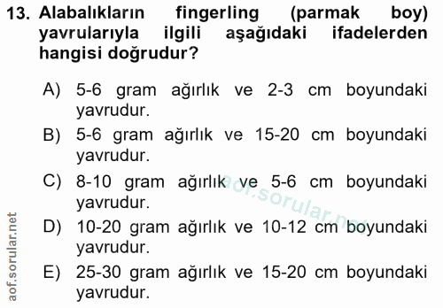 13. soru: Alabalıkların fingerling (parmak boy) yavrularıyla ilgili aşağıdaki ifadelerden hangisi doğrudur? A) 5-6 gram ağırlık…