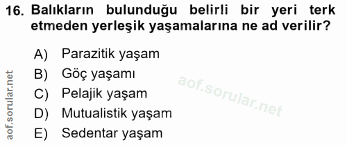16. soru: Balıkların bulunduğu belirli bir yeri terk etmeden yerleşik yaşamalarına ne ad verilir? A) Parazitik yaşam B) Göç yaş…