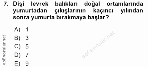 7. soru: Dişi levrek balıkları doğal ortamlarında yumurtadan çıkışlarının kaçıncı yılından sonra yumurta bırakmaya başlar? A)…