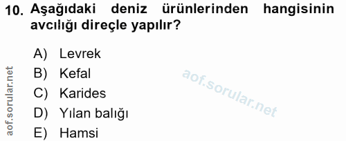 10. soru: Aşağıdaki deniz ürünlerinden hangisinin avcılığı direçle yapılır? A) Levrek B) Kefal C) Karides D) Yılan balığı E) Hamsi