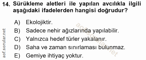 14. soru: Sürükleme aletleri ile yapılan avcılıkla ilgili aşağıdaki ifadelerden hangisi doğrudur? A) Ekolojiktir. B) Sadece neh…