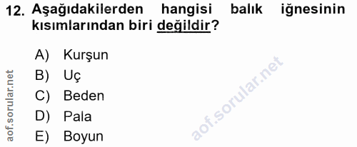 12. soru: Aşağıdakilerden hangisi balık iğnesinin kısımlarından biri değildir? A) Kurşun B) Uç C) Beden D) Pala aof. E) Boyun