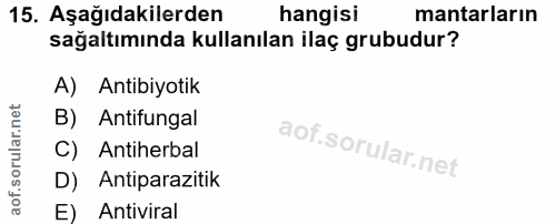 15. soru: Aşağıdakilerden hangisi mantarların sağaltımında kullanılan ilaç grubudur? A) Antibiyotik B) . Antifungal C) Antiherb…