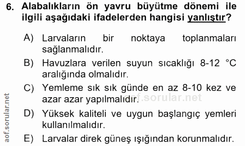6. soru: Alabalıkların ön yavru büyütme dönemi ile ilgili aşağıdaki ifadelerden hangisi yanlıştır? A) Larvaların bir noktaya t…