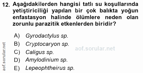 12. soru: Aşağıdakilerden hangisi tatlı su koşullarında yetiştiriciliği yapılan bir çok balıkta yoğun enfastasyon halinde ölüml…