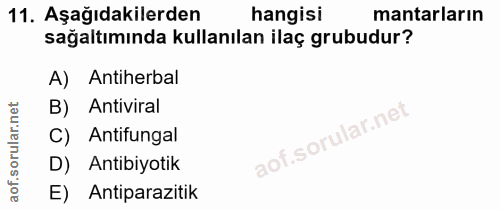 11. soru: Aşağıdakilerden hangisi mantarların sağaltımında kullanılan ilaç grubudur? A) Antiherbal B) Antiviral C) Antifungal D…