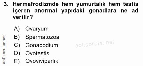 3. soru: Hermafrodizmde hem yumurtalık hem testis içeren anormal yapıdaki gonadlara ne ad verilir? A) Ovaryum B) Spermatozoa C…