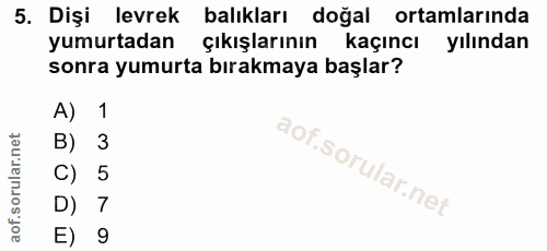 5. soru: Dişi levrek balıkları doğal ortamlarında yumurtadan çıkışlarının kaçıncı yılından sonra yumurta bırakmaya başlar? A)…