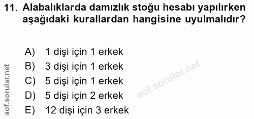 11. soru: Alabalıklarda damızlık stoğu hesabı yapılırken aşağıdaki kurallardan hangisine uyulmalıdır? A) 1 dişi için 1 erkek B)…