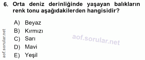6. soru: Orta deniz derinliğinde yaşayan balıkların renk tonu aşağıdakilerden hangisidir? A) Beyaz B) Kırmızı C) Sarı D) Mavi…