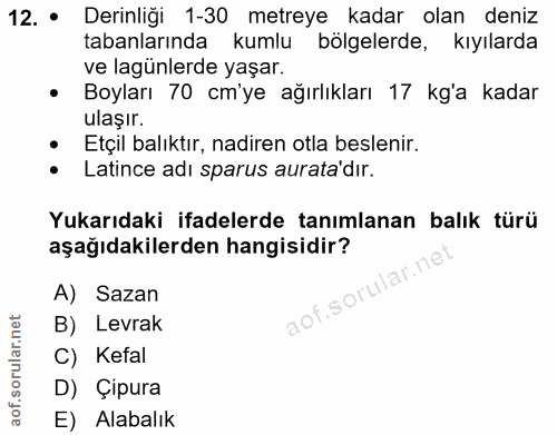 12. soru: • Derinliği 1-30 metreye kadar olan deniz tabanlarında kumlu bölgelerde, kıyılarda ve lagünlerde yaşar. • Boyları 70…