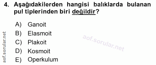 4. soru: Aşağıdakilerden hangisi balıklarda bulanan pul tiplerinden biri değildir? A) Ganoit B) Elasmoit C) Plakoit D) Kosmoit…