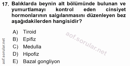 17. soru: Balıklarda beynin alt bölümünde bulunan ve yumurtlamayı kontrol eden cinsiyet hormonlarının salgılanmasını düzenleyen…