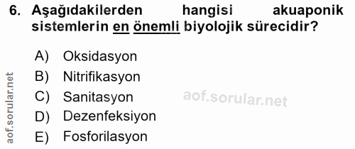 6. soru: Aşağıdakilerden hangisi akuaponik sistemlerin en önemli biyolojik sürecidir? A) Oksidasyon B) Nitrifikasyon ar. C) Sa…
