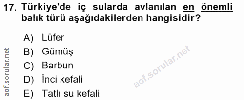 17. soru: Türkiye'de iç sularda avlanılan en önemli balık türü aşağıdakilerden hangisidir? A) Lufer B) Gümüş C) Barbun aof.soru…