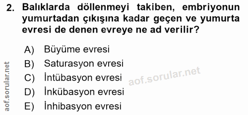 2. soru: Balıklarda döllenmeyi takiben, embriyonun yumurtadan çıkışına kadar geçen ve yumurta evresi de denen evreye ne ad ver…