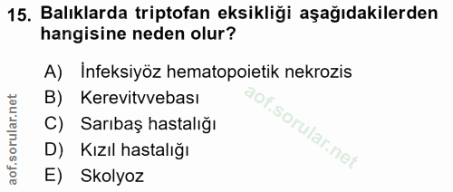 15. soru: Balıklarda triptofan eksikliği aşağıdakilerden hangisine neden olur? A) Infeksiyöz hematopoietik nekrozis B) Kerevitv…