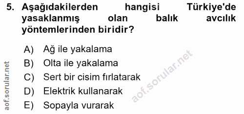 5. soru: Aşağıdakilerden hangisi Türkiye'de yasaklanmış olan balık avcilik yöntemlerinden biridir? A) Ağ ile yakalama B) Olta…
