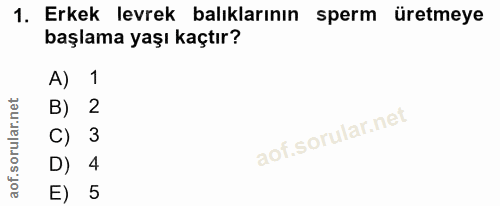 1. soru: Erkek levrek balıklarının sperm üretmeye başlama yaşı kaçtır? A) 1 B) 2 C) 3 D) 4 E) 5