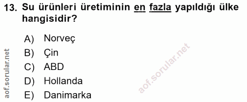 13. soru: Su ürünleri üretiminin en fazla yapıldığı ülke hangisidir? A) Norveç B) Çin C) ABD D) Hollanda E) Danimarka
