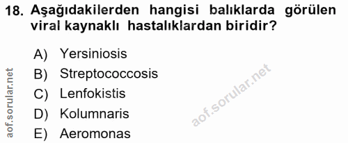 18. soru: Aşağıdakilerden hangisi balıklarda görülen viral kaynaklı hastalıklardan biridir? A) Yersiniosis B) Streptococcosis C…