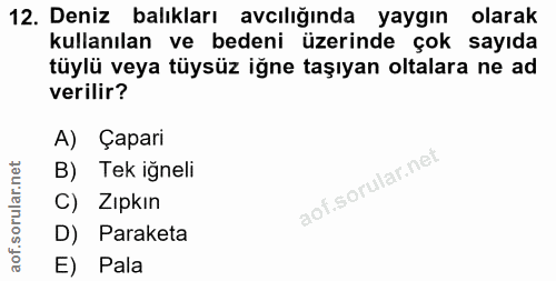 12. soru: Deniz balıkları avcılığında yaygın olarak kullanılan ve bedeni üzerinde çok sayıda tüylü veya tüysüz iğne taşıyan olt…