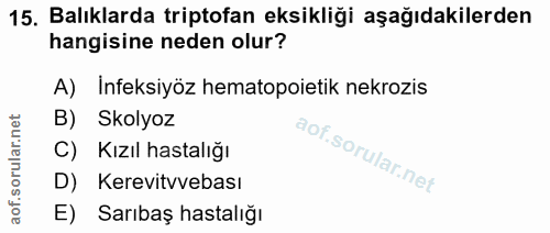 15. soru: Balıklarda triptofan eksikliği aşağıdakilerden hangisine neden olur? A) Infeksiyöz hematopoietik nekrozis B) Skolyoz…