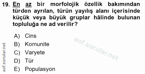 19. soru: En az bir morfolojik özellik bakımından türden ayrılan, türün yayılış alanı içerisinde küçük veya büyük gruplar hâlin…