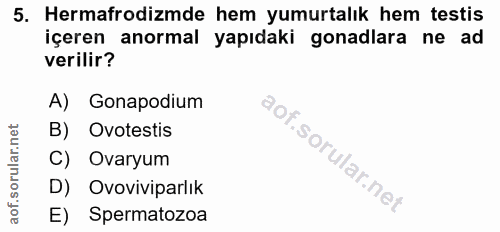 5. soru: Hermafrodizmde hem yumurtalık hem testis içeren anormal yapıdaki gonadlara ne ad verilir? A) Gonapodium B) Ovotestis…