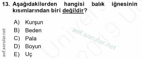 13. soru: Aşağıdakilerden hangisi balık ignesinin kısımlarından biri değildir? A) Kurşun B) Beden C) Pala D) Boyun E) Uç
