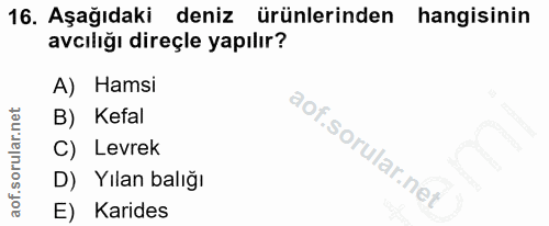 16. soru: Aşağıdaki deniz ürünlerinden hangisinin avcılığı direçle yapılır? A) Hamsi B) Kefal C) • Levrek D) Yılan balığı E) Ka…