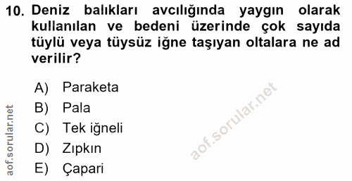 10. soru: Deniz balıkları avcılığında yaygın olarak kullanılan ve bedeni üzerinde çok sayıda tüylü veya tüysüz iğne taşıyan olt…