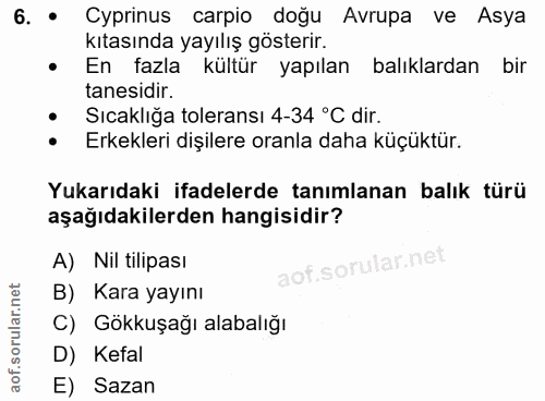 6. soru: Cyprinus carpio doğu Avrupa ve Asya kıtasında yayılış gösterir. • En fazla kültür yapılan balıklardan bir tanesidir.…