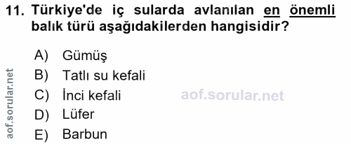 11. soru: Türkiye'de iç sularda avlanılan en önemli balık türü aşağıdakilerden hangisidir? A) Gümüş B) Tatlı su kefali C) inci…