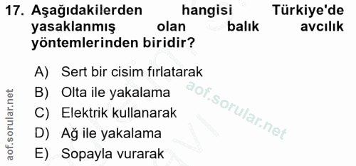 17. soru: Aşağıdakilerden hangisi Türkiye'de yasaklanmış olan balık avcılık yöntemlerinden biridir? A) Sert bir cisim fırlatara…