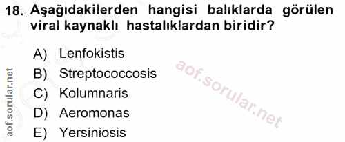 18. soru: Aşağıdakilerden hangisi balıklarda görülen viral kaynaklı hastalıklardan biridir? A) Lenfokistis B) Streptococcosis C…