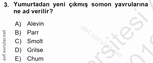 3. soru: Yumurtadan yeni çıkmış somon yavrularına ne ad verilir? A) Alevin B) Parr Soru C) Smolt D) Grilse E) Chum