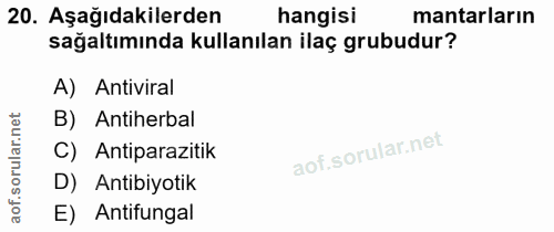 20. soru: Aşağıdakilerden hangisi mantarların sağaltımında kullanılan ilaç grubudur? A) Antiviral B) Antiherbal C) Antiparaziti…