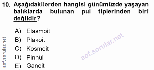 10. soru: Aşağıdakilerden hangisi günümüzde yaşayan balıklarda bulunan pul tiplerinden biri değildir? A) Elasmoit B) Plakoit C)…