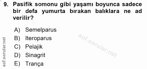 9. soru: Pasifik somonu gibi yaşamı boyunca sadece bir defa yumurta bırakan balıklara ne ad verilir? A) Semelparus B) Iteropar…