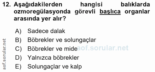 12. soru: Aşağıdakilerden hangisi balıklarda ozmoregülasyonda görevli başlıca organlar arasında yer alır? A) Sadece dalak B) Bö…