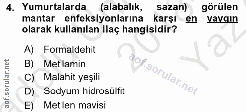 4. soru: Yumurtalarda (alabalık, sazan) görülen mantar enfeksiyonlarına karşı en yaygın olarak kullanılan ilaç hangisidir? A)…