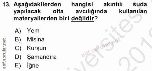 13. soru: Aşağıdakilerden hangisi akıntılı suda yapılacak olta avcılığinda kullanılan materyallerden biri değildir? A) Yem Misi…